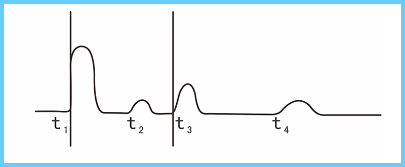 17561096097700e6.jpg